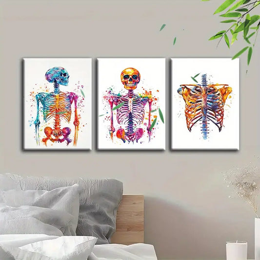 3pcs Human Skeleton Anatomy  Metal Print Ready to Hang Art
