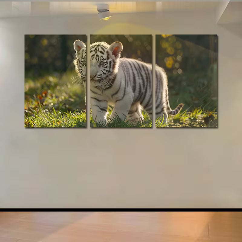 3pcs Cute White Tiger Cub Wall Art Set Canvas Framed 50x70cm - High Quality Print 100% Australian Made Wall Canvas Ready to Hang