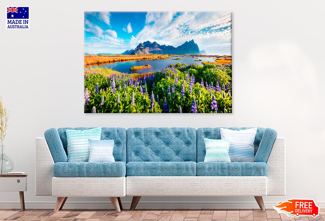 Iceland & Field Of Lupine Flowers Print 100% Australian Made