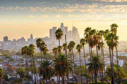 Downtown Los Angeles At Sunset Glass Framed Wall Art, Ready to Hang Quality Print