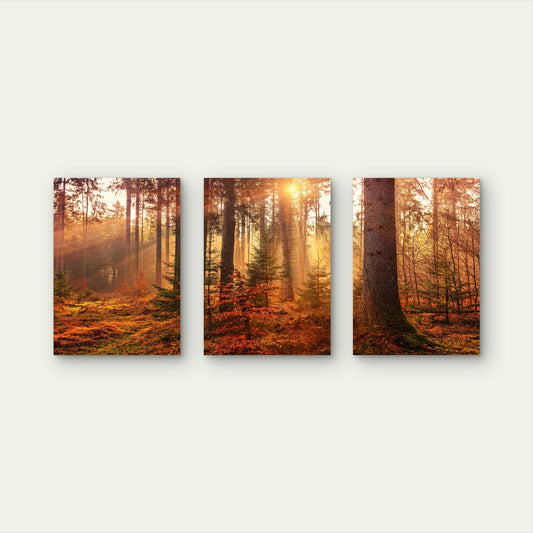 3pcs Autumn Forest Sunburst Orange Gold Tree Wall Art Set Canvas Framed 60x90cm - High Quality Print 100% Australian Made Wall Canvas Ready to Hang