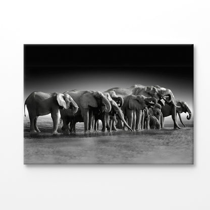 Bella Home B&W Pack of Elephants Print Canvas Ready to hang