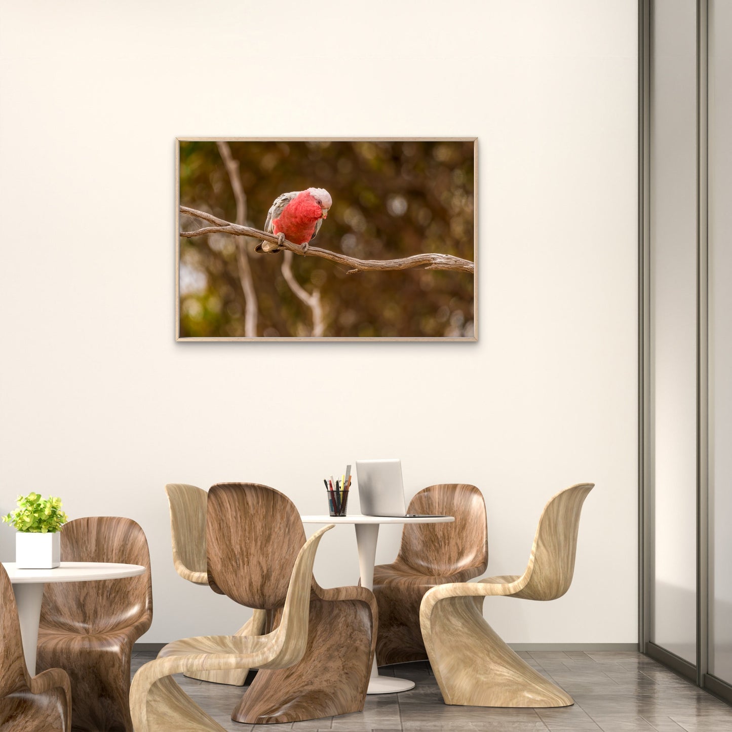 Lovely Galah Australia Wall Art Decor 100% Australian Made