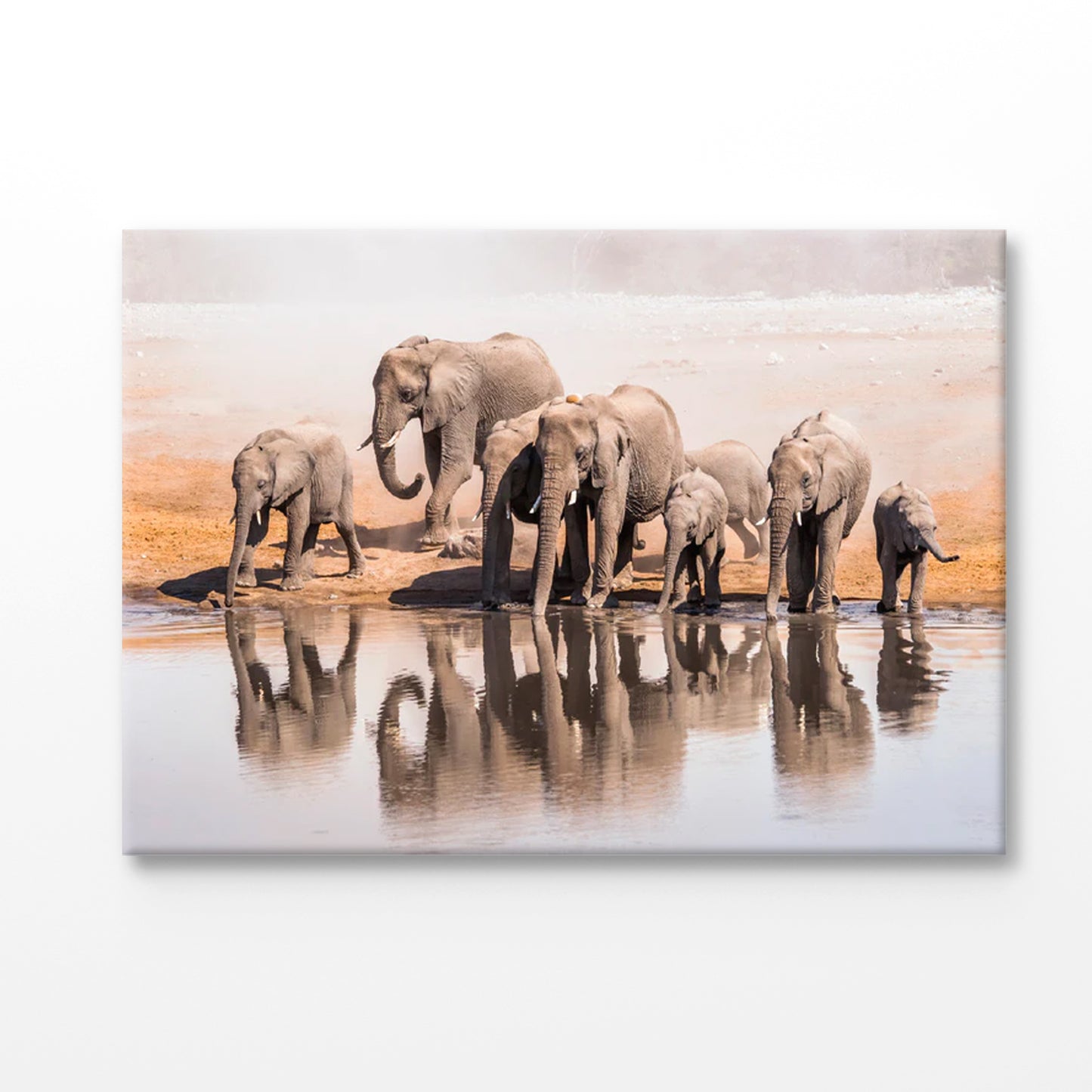 Bella Home Elephant Family Drinking Water From a Lake Print Canvas Ready to hang