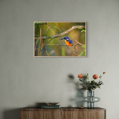 Azure Kingfisher Wall Art Decor 100% Australian Made