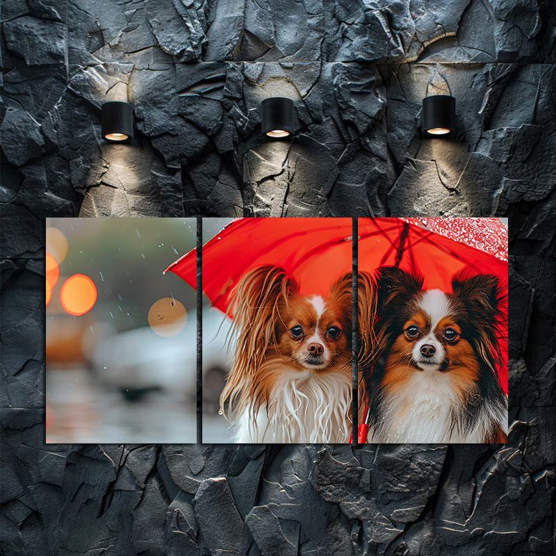 3pcs Two cute papillon dogs Wall Art Set Canvas Framed 60x90cm - High Quality Print 100% Australian Made Wall Canvas Ready to Hang