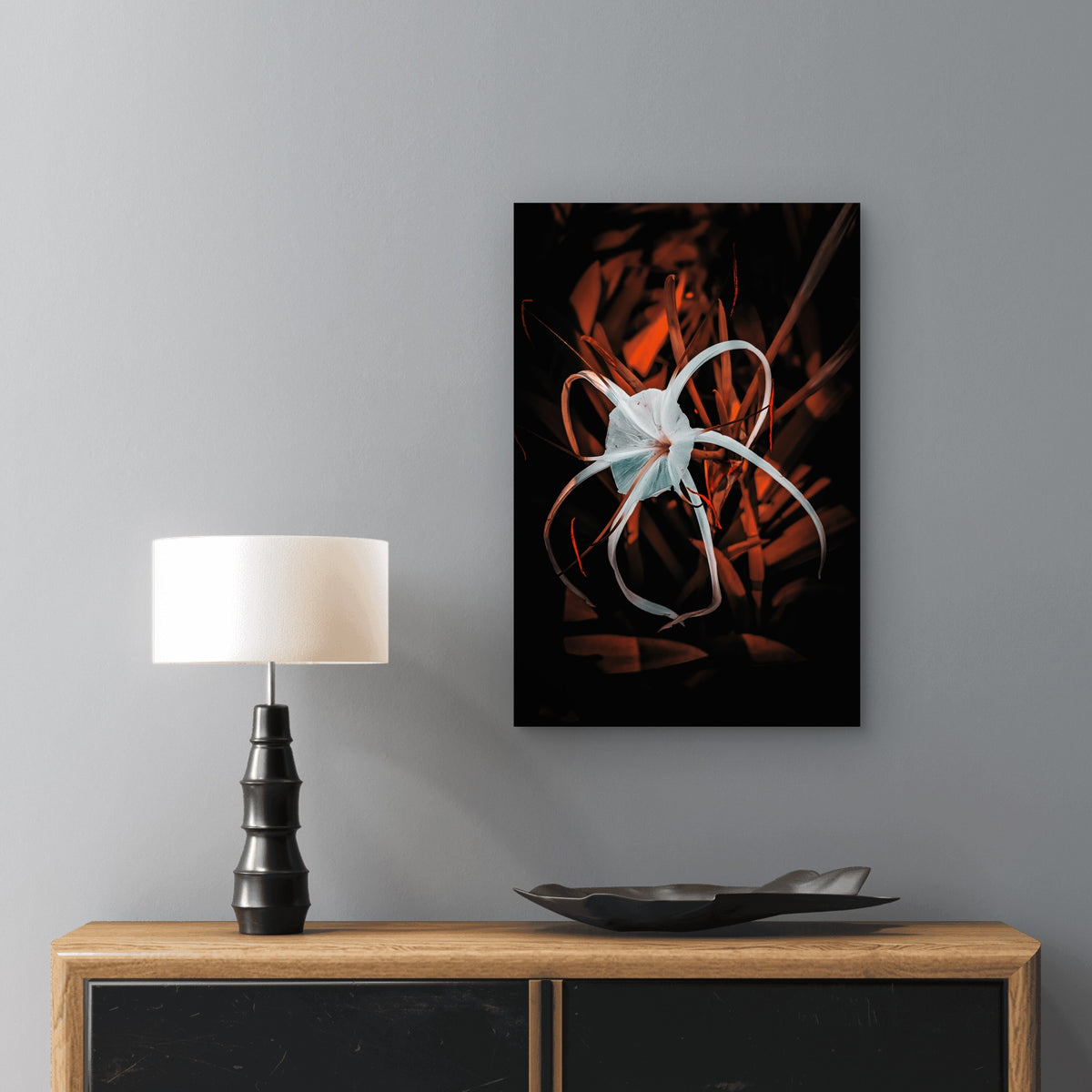 White Spider Lily Dark Nature 60x90cm Metal Print Ready to Hang