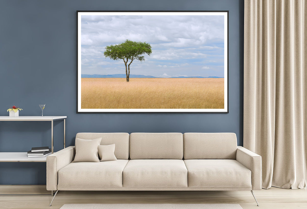 A Single Tree in an Open Field with a Blue Sky Home Decor Premium Quality Poster Print Choose Your Sizes