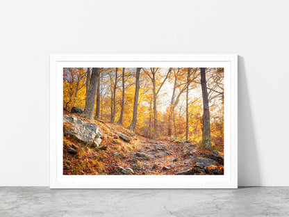 Hiking Trail In Autumn Forest Glass Framed Wall Art, Ready to Hang Quality Print With White Border White