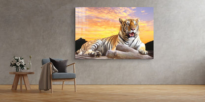 Tiger Sunset Sky View UV Direct Aluminum Print Australian Made Quality