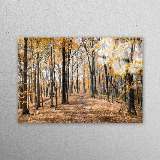 Autumn View Forest Acrylic Glass Print Tempered Glass Wall Art 100% Made in Australia Ready to Hang