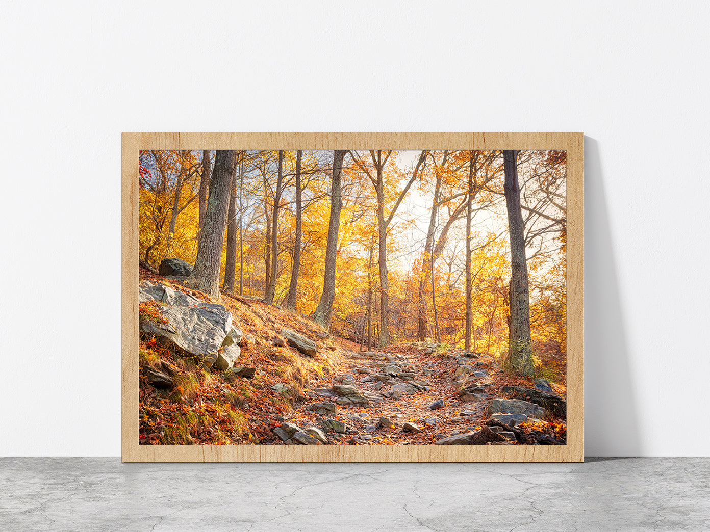 Hiking Trail In Autumn Forest Glass Framed Wall Art, Ready to Hang Quality Print Without White Border Oak