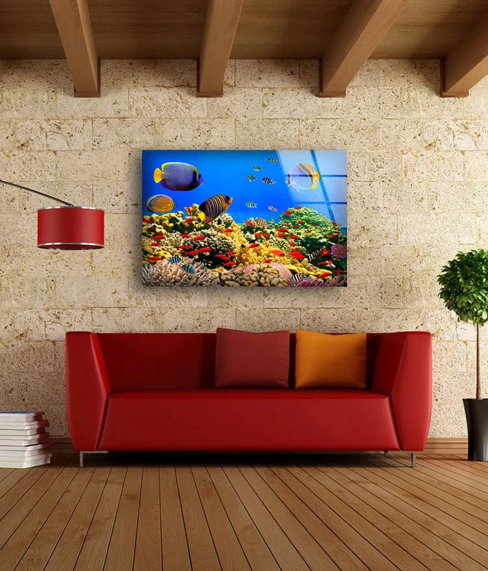 Underwater Fish Scenery UV Direct Aluminum Print Australian Made Quality