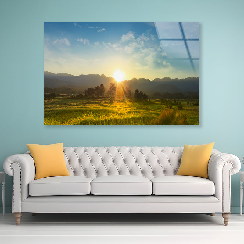 Sunset, Blossoming Meadow Acrylic Glass Print Tempered Glass Wall Art 100% Made in Australia Ready to Hang