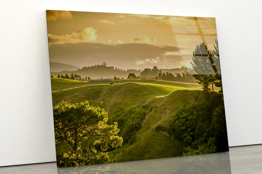 Grassy Hill and Trees with Sky Acrylic Glass Print Tempered Glass Wall Art 100% Made in Australia Ready to Hang