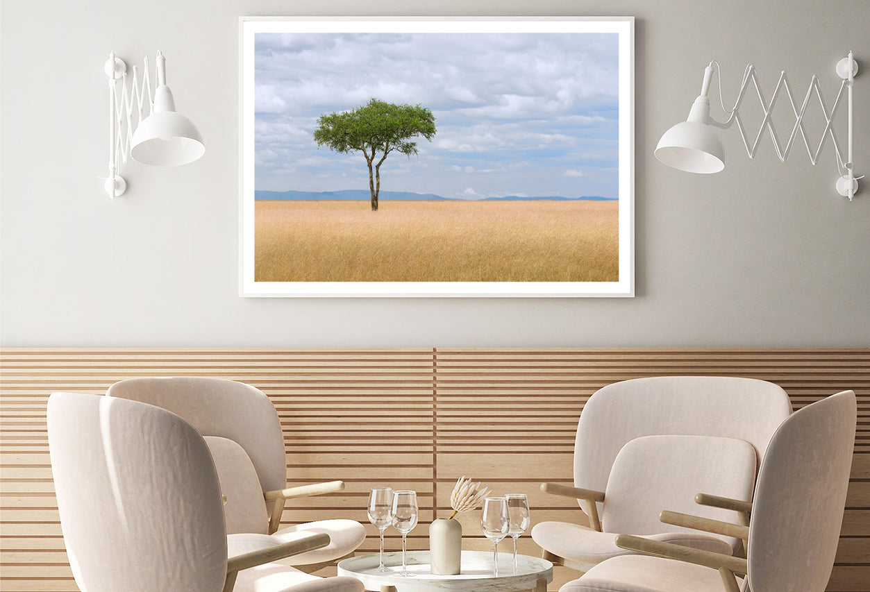 A Single Tree in an Open Field with a Blue Sky Home Decor Premium Quality Poster Print Choose Your Sizes