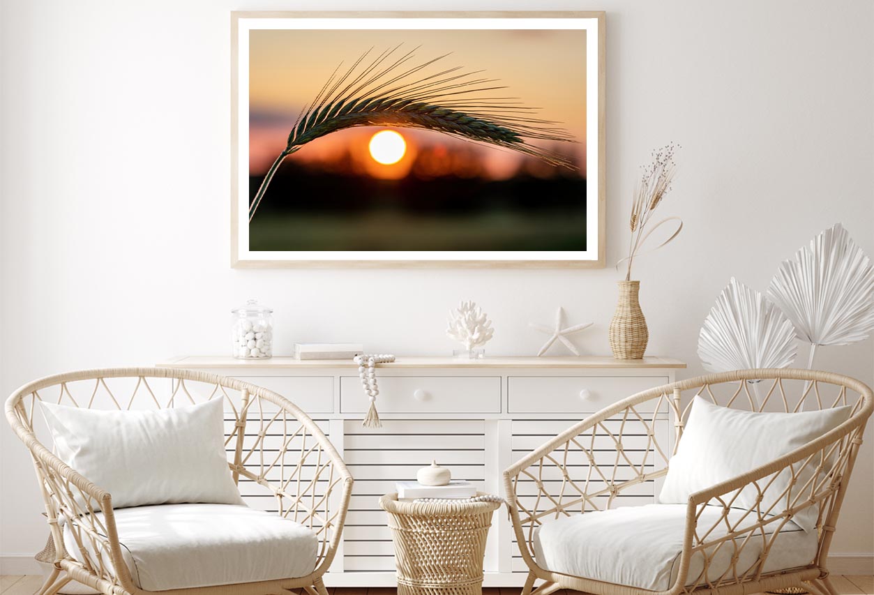 Barley Ear On a Background of a Disk of The Setting Sun Home Decor Premium Quality Poster Print Choose Your Sizes