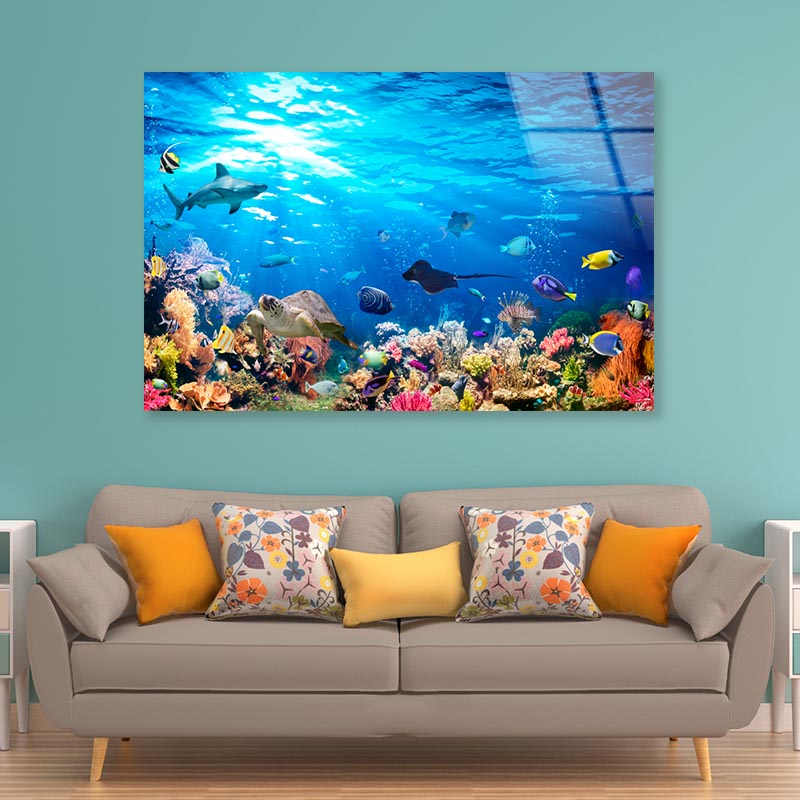 Underwater Scene with Coral Reef and Exotic Fishes Acrylic Glass Print Tempered Glass Wall Art 100% Made in Australia Ready to Hang