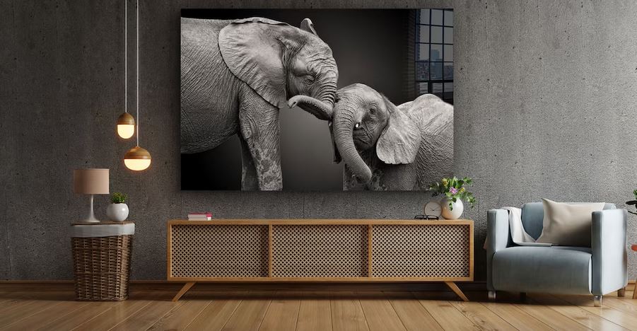 Elephant Baby B&W View UV Direct Aluminum Print Australian Made Quality