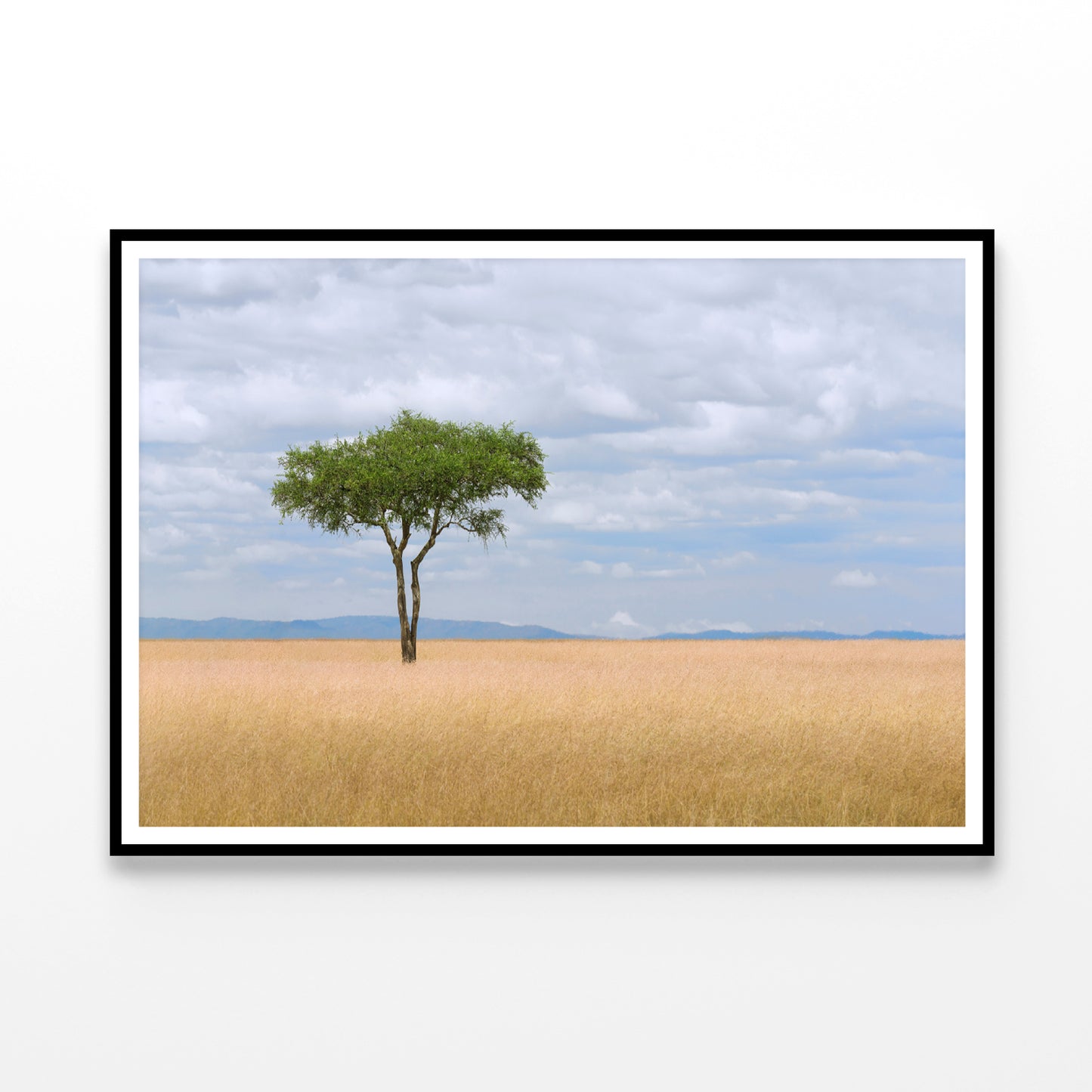 A Single Tree in an Open Field with a Blue Sky Home Decor Premium Quality Poster Print Choose Your Sizes