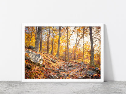 Hiking Trail In Autumn Forest Glass Framed Wall Art, Ready to Hang Quality Print Without White Border White