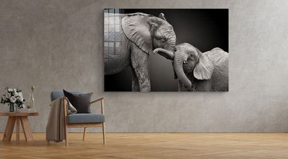 Elephant Baby B&W View UV Direct Aluminum Print Australian Made Quality