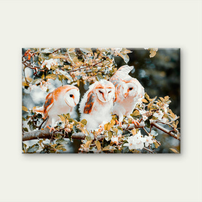 Majestic Barn Owls Perched on a Flowering Branch Wall Art Decor 100% Australian Made