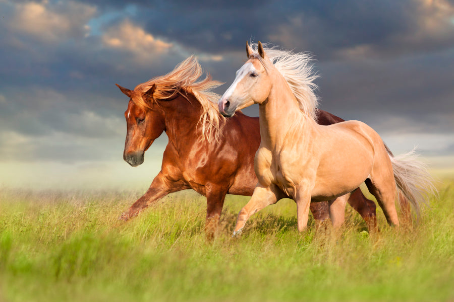 Horses Running in A Field with A Cloudy Sky Home Decor Premium Quality Poster Print Choose Your Sizes