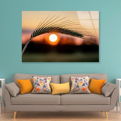 Barley Ear On a Background of a Disk of The Setting Sun Acrylic Glass Print Tempered Glass Wall Art 100% Made in Australia Ready to Hang