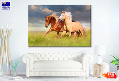 Horses Running in A Field with A Cloudy Sky Wall Art Decor 100% Australian Made