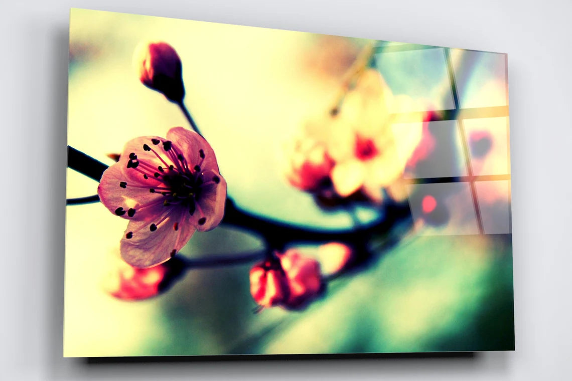 Japanese Cherry Flower Acrylic Glass Print Tempered Glass Wall Art 100% Made in Australia Ready to Hang