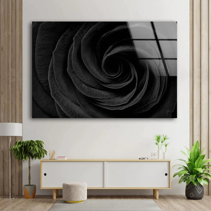 Black Flower Closeup UV Direct Aluminum Print Australian Made Quality