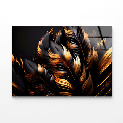 Black and Gold Feathers Acrylic Glass Print Tempered Glass Wall Art 100% Made in Australia Ready to Hang