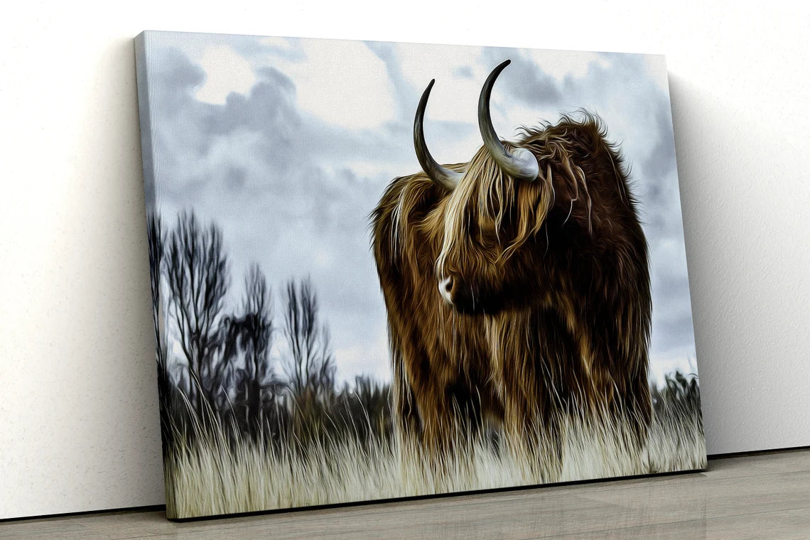 Highland Cow oil painting UV Direct Aluminum Print Australian Made Quality