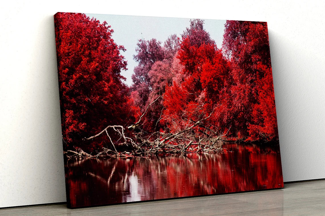 Red tree black and white forest river UV Direct Aluminum Print Australian Made Quality