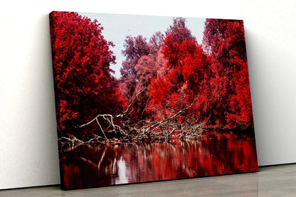 Red tree black and white forest river UV Direct Aluminum Print Australian Made Quality