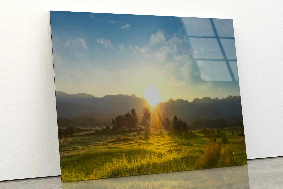 Sunset, Blossoming Meadow Acrylic Glass Print Tempered Glass Wall Art 100% Made in Australia Ready to Hang