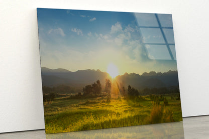 Sunset, Blossoming Meadow Acrylic Glass Print Tempered Glass Wall Art 100% Made in Australia Ready to Hang