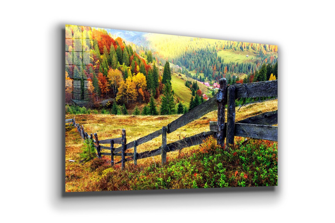 Woodland Autumn Forest UV Direct Aluminum Print Australian Made Quality