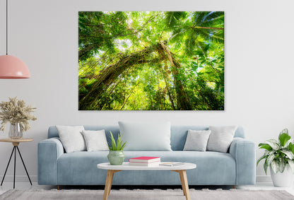 Lush tropical canopies framing vibrant wilderness landscapes near Cairns, Australia Wall Art Decor 100% Australian Made
