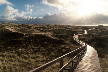 Dunes On the North Frisian Island Amram in Germany Acrylic Glass Print Tempered Glass Wall Art 100% Made in Australia Ready to Hang