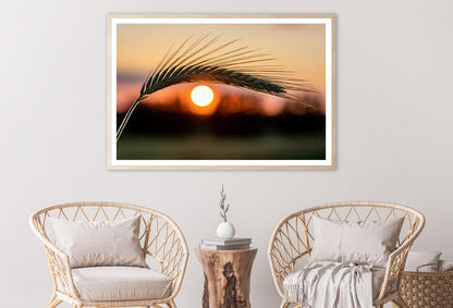 Barley Ear On a Background of a Disk of The Setting Sun Home Decor Premium Quality Poster Print Choose Your Sizes