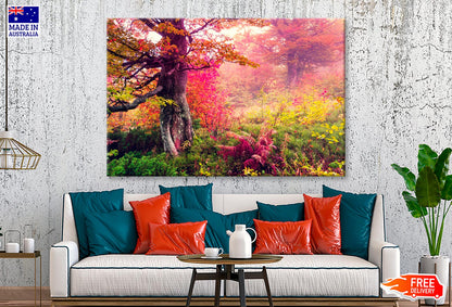 Majestic Landscape with Autumn Trees in Forest  Wall Art Decor 100% Australian Made