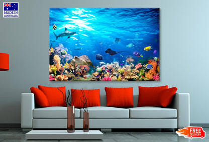 Underwater Scene with Coral Reef and Exotic Fishes Wall Art Decor 100% Australian Made