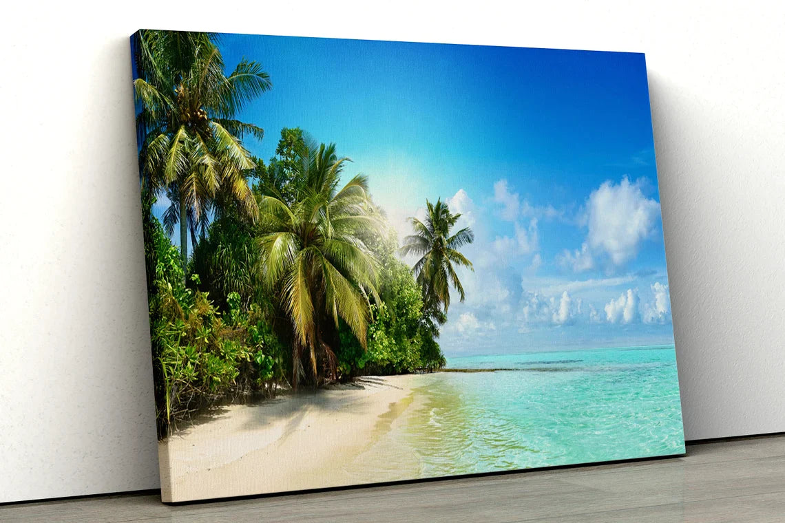 Palm Trees Near Sea UV Direct Aluminum Print Australian Made Quality