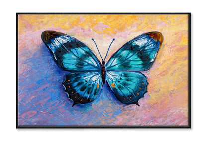 Oil Painting Of Blue Butterfly Limited Edition High Quality Print Canvas Box Framed Black