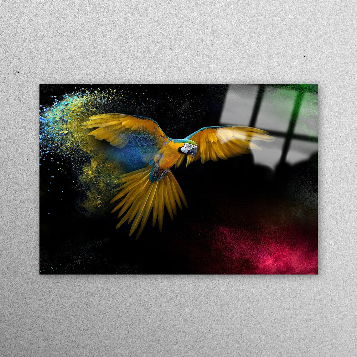 Colorful Bird Wall Art Acrylic Glass Print Tempered Glass Wall Art 100% Made in Australia Ready to Hang