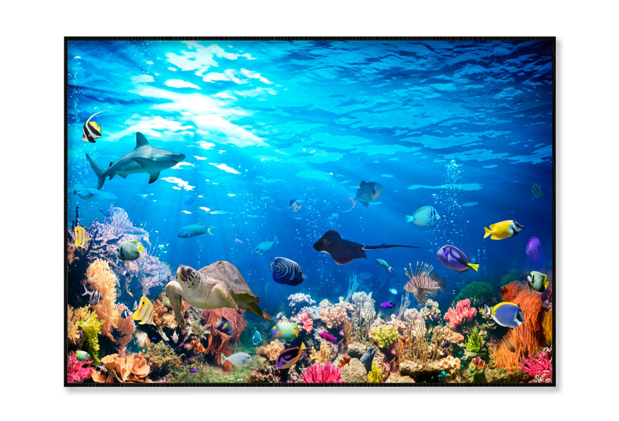 Underwater Scene with Coral Reef and Exotic Fishes Home Decor Premium Quality Poster Print Choose Your Sizes