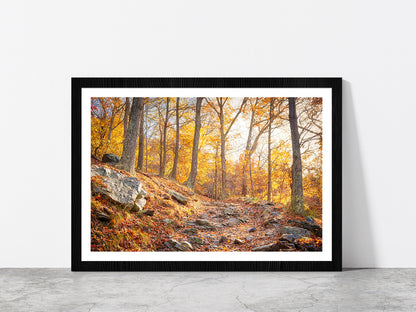 Hiking Trail In Autumn Forest Glass Framed Wall Art, Ready to Hang Quality Print With White Border Black