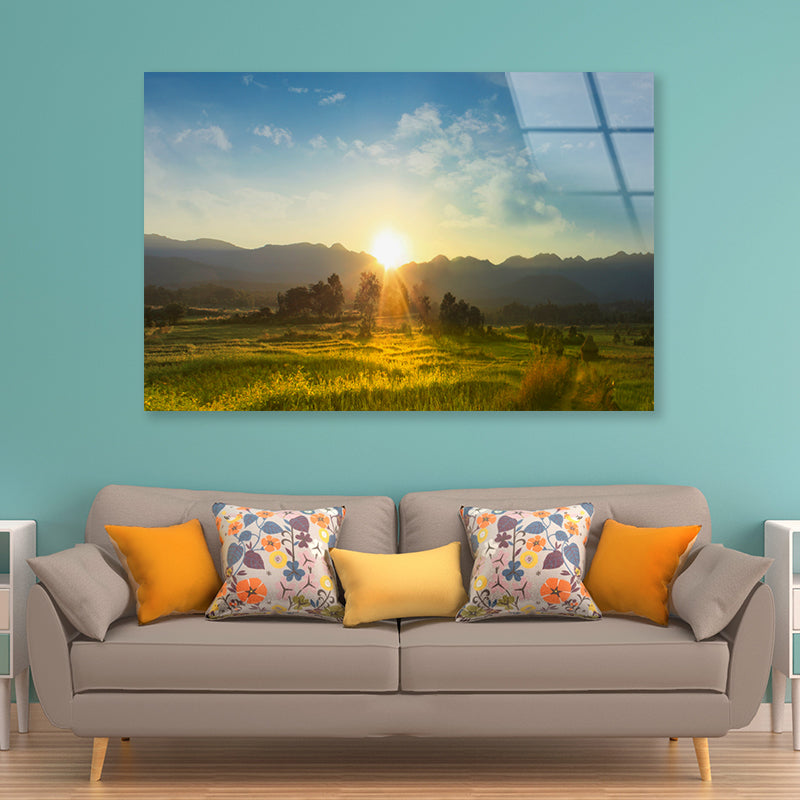 Sunset, Blossoming Meadow Acrylic Glass Print Tempered Glass Wall Art 100% Made in Australia Ready to Hang